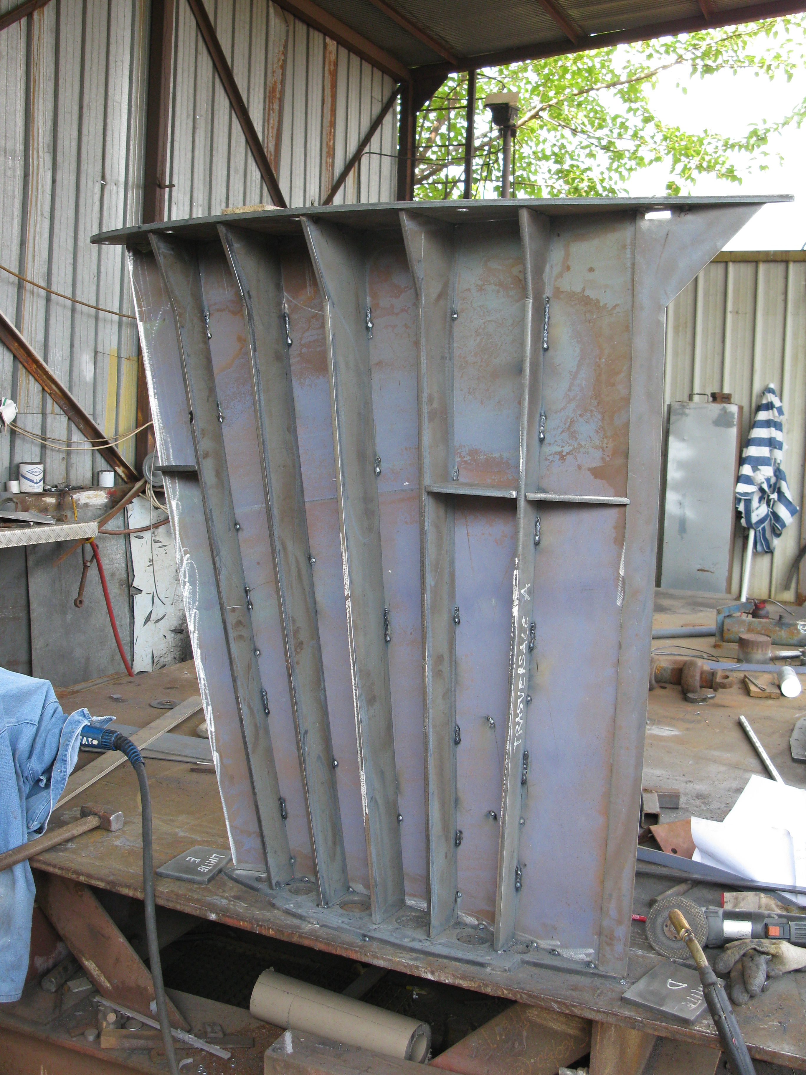 Caribbea 32 - pinna Caribbea 32 - pinna