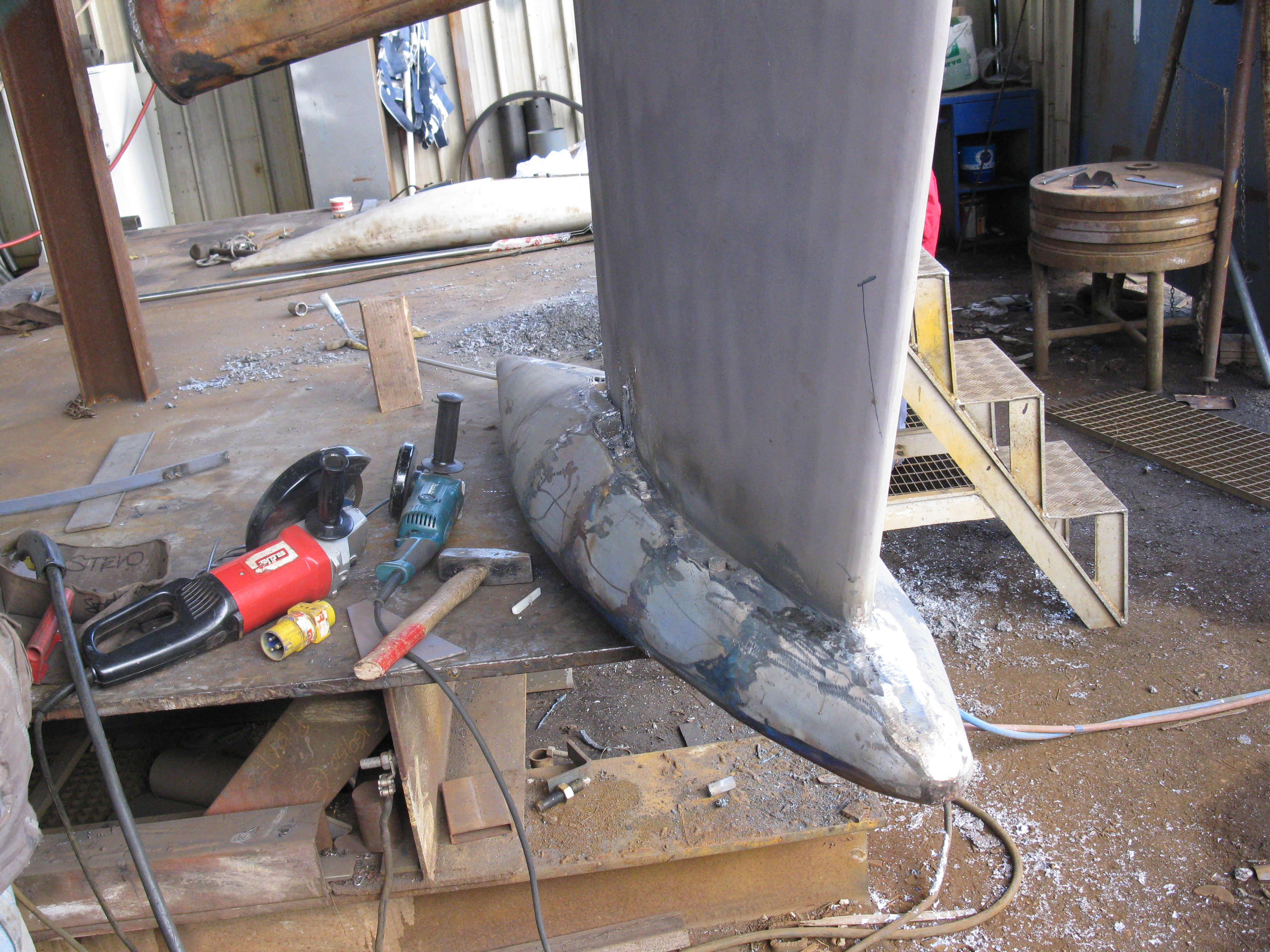 Caribbea 32 - pinna con bulbo Caribbea 32 - pinna con bulbo