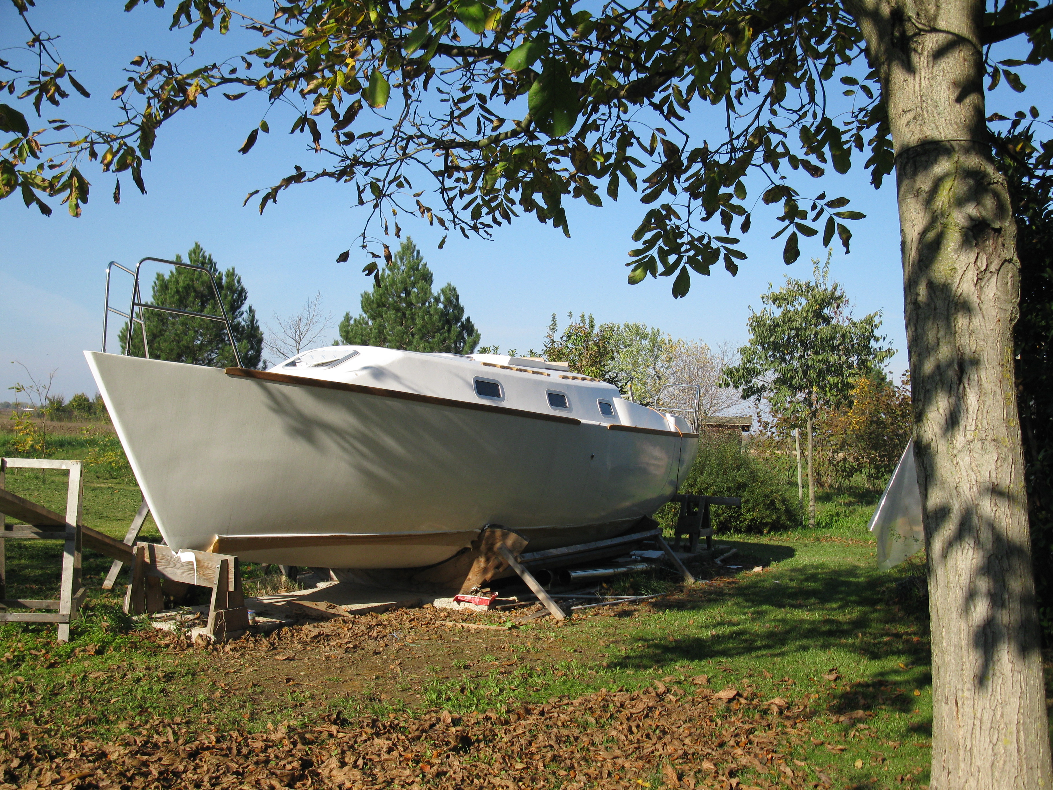 Caribbea 32 - pronti per il trasporto Caribbea 32 - pronti per il trasporto